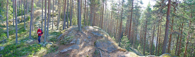 DSC03500
