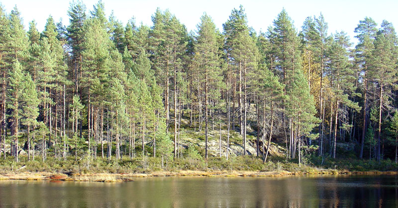 DSC03516